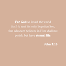Vinyl Wall Art Decal - For God So Loved The World John 3:16 - Modern Inspirational Religious Quote For Home Bedroom Office Workplace Church Decoration Sticker 2