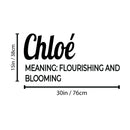 Vinyl Wall Art Decal - Chloe Meaning - Trendy Inspirational Quote Sticker For Children Bedroom Home School Classroom Nursery Daycare Kids Room Decor 4
