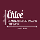 Vinyl Wall Art Decal - Chloe Meaning - 30" x 15" - Trendy Inspirational Quote Sticker For Children Bedroom Home School Classroom Nursery Daycare Kids Room Decor 4