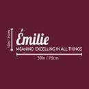 Vinyl Wall Art Decal - Emilie Meaning - 30" x 10" - Trendy Inspirational Quote Sticker For Children Bedroom Home School Classroom Nursery Daycare Kids Room Decor 4