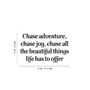 Vinyl Wall Art Decal - Chase Adventure Chase Joy - 15" x 25" - Modern Inspiring Positive Good Vibes Quote Sticker For Home Living Room Kids Bedroom Playroom Classroom School Office Decor 4