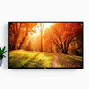 Onn 43" 100069992 TV FHD (1080P) LED Roku Smart - Nuevo — imagen 2