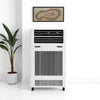 Home Decorators Collection FHTM80318 Calefacción 40000 Btu - Nuevo — imagen 3