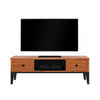 StyleWell HDFP48-55AE Spruce Hallow 48 in. Freestanding Electric Fireplace TV Stand (1007537216) — imagen 1