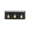 Progress Lighting P300232-143 Lámpara de Baño Briarwood Grafito 4 Luces | MiOfertas