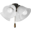 Progress Lighting P500301-031 Alimason 4-Light Colgante Negro Texturizado | MiOfertas
