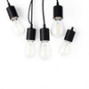 Hampton Bay LBZ8105AX-01/MB Lámpara de Araña Florabelle 5 Luces Negro Mate — imagen 3