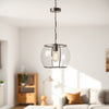 Home Decorators Collection HB3699-326 Mini-Colgante Níquel Pulido 1 Luz — imagen 3