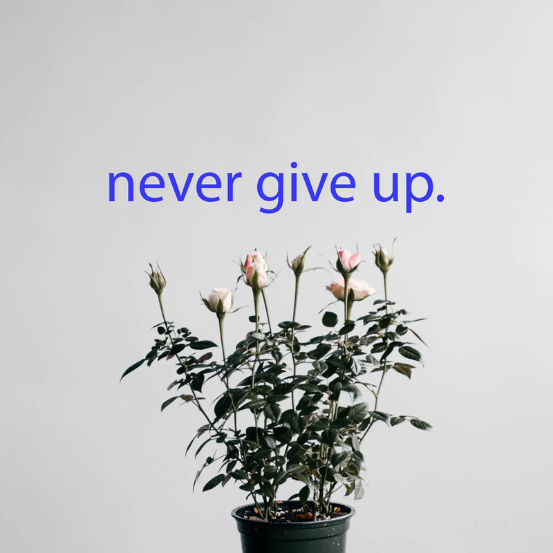 Motivational Art Decal/Never Give Up Wall Vinyl Sticker - Never Give Up Motivational Quote - Wall Art Decal - 2" x 18" Decoration Sticker - Life Quote Decal - Over The Door (Blue) 2