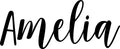 Vinyl Wall Art Decal Girls Custom Name - ’Amelia’ Custom Text Name - Girls Bedroom Vinyl Wall Decals - Cute Wall Art Decals for Baby Girl Nursery Room Decor (12" x 30"; Black Cursive) 1