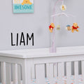 Vinyl Wall Art Decal Boys Custom Name - 'LIAM' Custom Text Name- Little Boys Bedroom Vinyl Wall Decals - Cute Wall Art Decals for Baby Boy Nursery Room Decor 3