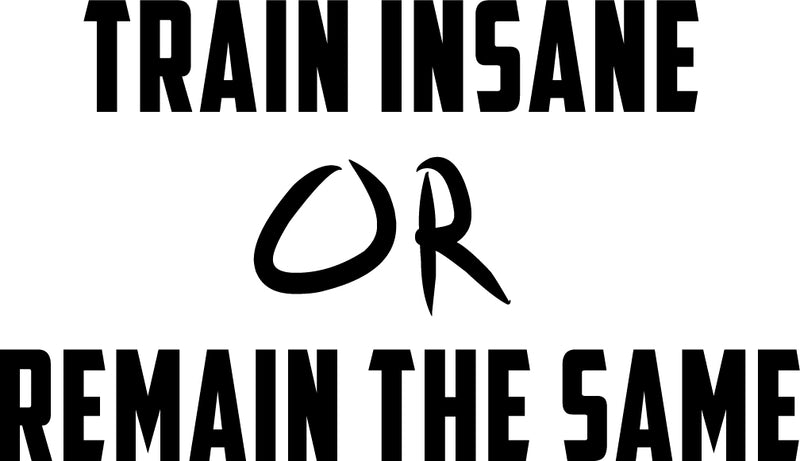 Vinyl Wall Art Decal - Train Insane Or Remain The Same - 23" x 40" - Insprational Gym Quote Sticker Decals Fitness Athletics Sticker Adhesive Signs 1