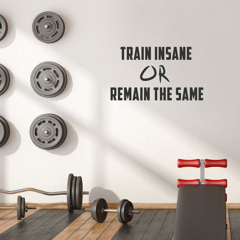 Vinyl Wall Art Decal - Train Insane Or Remain The Same - Indoor Outdoor Focus Determination Decoration Motivational Home Office Decor Gym Fitness Athletics Training Sticker Adhesive 2