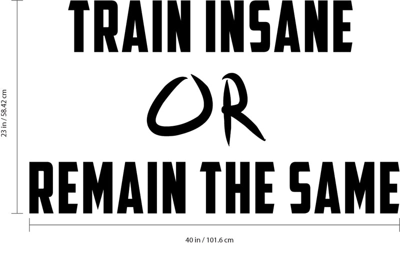 Vinyl Wall Art Decal - Train Insane Or Remain The Same - 23" x 40" - Insprational Gym Quote Sticker Decals Fitness Athletics Sticker Adhesive Signs 4