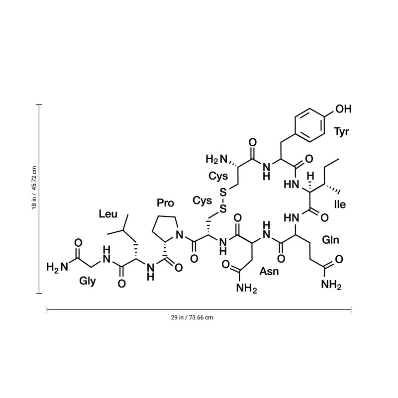 Vinyl Wall Art Decal - Oxytocin Love Hormone - 18" x 29" - Modern Decals for Home Living Room Bedroom Sticker - Trendy Positive Love Stickers Office Apartment Workplace Decor (18" x 29"; Black) 4