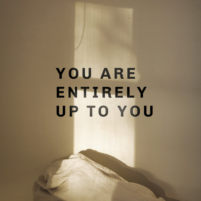 Vinyl Wall Art Decal - You Are Entirely Up To You - - Motivational Life Quote For Home Bedroom Living Room Work Office - Positive Quotes For Apartment Workplace Decor 3