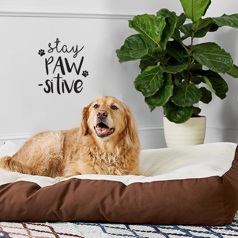 Vinyl Wall Art Decal - Stay Pawsitive - 12" x 10" - Cute Trendy Doggy Paw Fun Decor Home Apartment Bedroom Living Room - Cool Dog Lovers Work Office Business Indoor Outdoor Modern Inspirational Decal 2