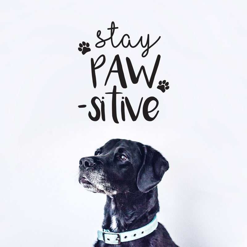 Vinyl Wall Art Decal - Stay Pawsitive - 12" x 10" - Cute Trendy Doggy Paw Fun Decor Home Apartment Bedroom Living Room - Cool Dog Lovers Work Office Business Indoor Outdoor Modern Inspirational Decal 3