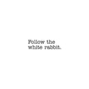 Vinyl Wall Art Decal - Follow The White Rabbit - Trendy Inspirational Fantasy Modern Indoor Home Apartment Bedroom Work Office Living Room Business Decoration Quote (7" x 25"; Black) 1