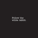 Vinyl Wall Art Decal - Follow The White Rabbit - 7" x 25" - Trendy Inspirational Fantasy Modern Indoor Home Apartment Bedroom Work Office Living Room Business Decoration Quote (7" x 25"; White) 1