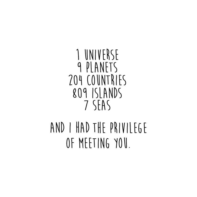 Vinyl Wall Art Decal - I Have The Privilege Of Meeting You - 18" x 18" - Cute Modern Couples Love Quote For Home Apartment Bedroom Living Room Bathroom Kitchen Gift Office Decoration Sticker 1