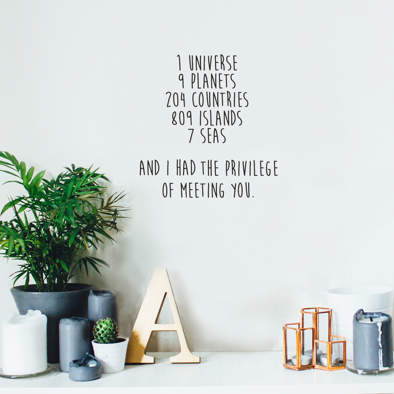 Vinyl Wall Art Decal - I Have The Privilege Of Meeting You - 18" x 18" - Cute Modern Couples Love Quote For Home Apartment Bedroom Living Room Bathroom Kitchen Gift Office Decoration Sticker 2