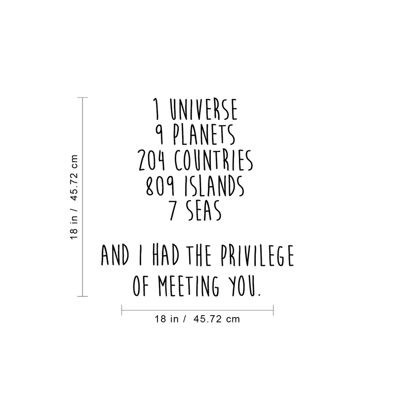 Vinyl Wall Art Decal - I Have The Privilege Of Meeting You - 18" x 18" - Cute Modern Couples Love Quote For Home Apartment Bedroom Living Room Bathroom Kitchen Gift Office Decoration Sticker 4