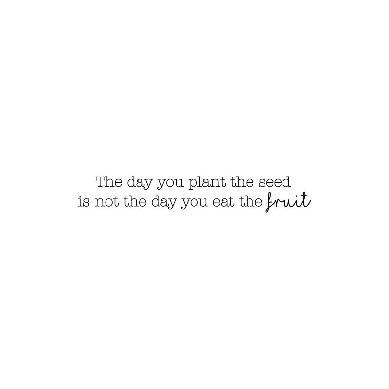 Vinyl Wall Art Decal - The Day You Plant The Seed Is Not The Day You Eat The Fruit - 4" x 25" - Modern Inspirational Quote For Home Bedroom Living Room Bathroom Kitchen Office Decor Sticker 1