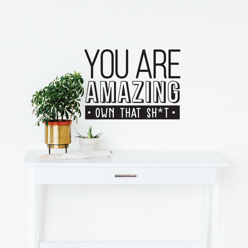 Vinyl Wall Art Decal - You Are Amazing Own That Sh*t - 17" x 23" - Modern Inspirational Quote For Home Bedroom Apartment Living Room Classroom Work Office School Decoration Sticker 2