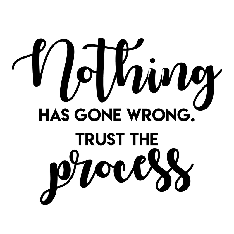 Vinyl Wall Art Decal - Nothing Has Gone Wrong Trust The Process - 17" x 21" - Inspirational Life Quote For Home Bedroom Living Room Office Classroom School Decoration Sticker 5