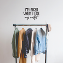 Vinyl Wall Art Decal - I'm Nicer When I Like My Outfit - Trendy Funny Quote For Home Bedroom Closet Living Room Bathroom Clothing Store Decoration Sticker 2