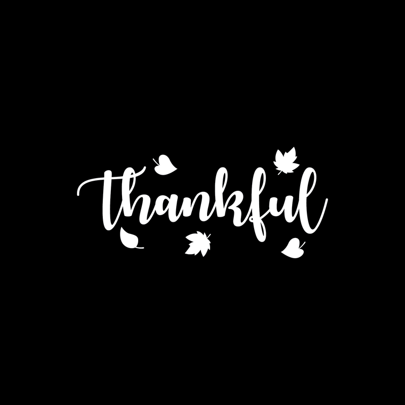 Vinyl Wall Art Decal - Thankful - 10.5" x 23.5" - Trendy Autumn Harvest Fall Leaves Seasonal Quote For Home Bedroom Kitchen Dining Room Office Church Decoration Sticker 1