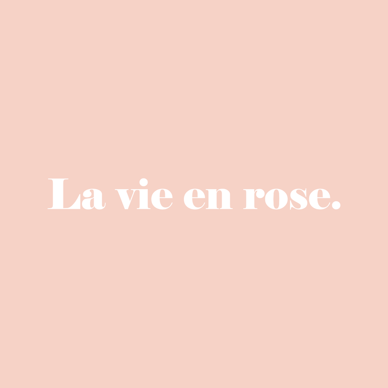 Vinyl Wall Art Decal - La Vie En Rose - 2" x 20" - Trendy Inspirational French Song Quote For Women Home Bedroom Girls Room Living Room Office Decoration Sticker 4