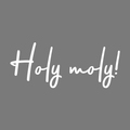 Vinyl Wall Art Decal - Holy Moly - 12.5" x 30" - Modern Funny Surprise Slang Words Quote For Home Teens Room Living Room Bedroom Kitchen Closet Decoration Sticker 1