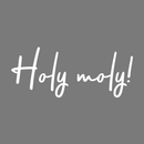 Vinyl Wall Art Decal - Holy Moly - 12.5" x 30" - Modern Funny Surprise Slang Words Quote For Home Teens Room Living Room Bedroom Kitchen Closet Decoration Sticker 1