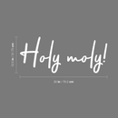 Vinyl Wall Art Decal - Holy Moly - 12.5" x 30" - Modern Funny Surprise Slang Words Quote For Home Teens Room Living Room Bedroom Kitchen Closet Decoration Sticker 2
