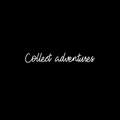 Vinyl Wall Art Decal - Collect Adventures - 3.5" x 25" - Modern Motivational Quote Positive Sticker For Home Bedroom Closet Living Room Coffee Shop Work Office Decor 1