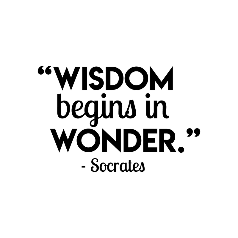 Vinyl Wall Art Decal - Wisdom Begins In Wonder; Socrates - 14.5" x 22" - Trendy Inspirational Philosophy Quote Sticker For Home Bedroom Living Room Work Office School Decor 1