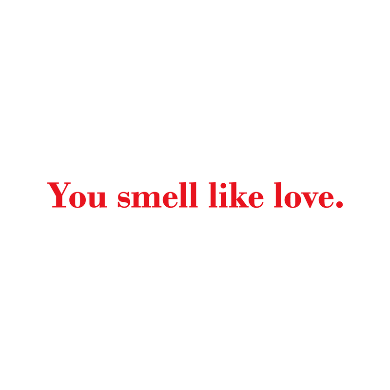 Vinyl Wall Art Decal - You Smell Like Love - 2" x 22" - Modern Inspirational Quote Sticker For Home Bedroom Closet Living Room Kids Room Couples Valentine's Day Gift Decor 1