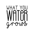 Vinyl Wall Art Decal - What You Water Grows - Trendy Cute Motivational Positive Quote Sticker For Gardening Indoor Plants Home Garden Playroom Office Coffee Shop Decor 1