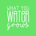 Vinyl Wall Art Decal - What You Water Grows - 22" x 20" - Trendy Cute Motivational Positive Quote Sticker For Gardening Indoor Plants Home Garden Playroom Office Coffee Shop Decor 1