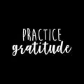 Vinyl Wall Art Decal - Practice Gratitude - 10.5" x 22" - Modern Motivational Positive Quote Sticker For Home Office Kids Room Playroom Bedroom Living Room Classroom Decor 1