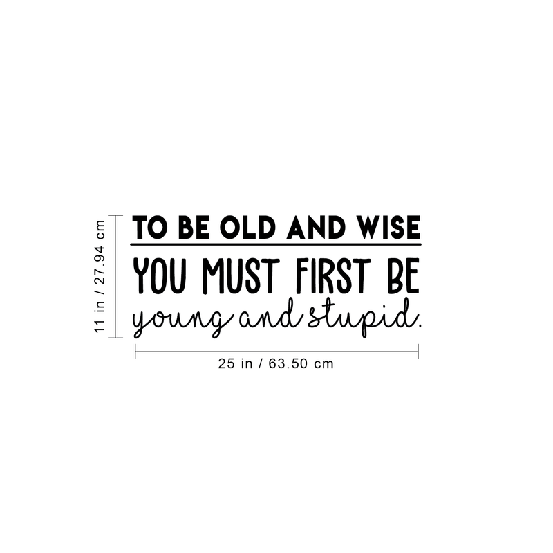 Vinyl Wall Art Decal - To Be Old And Wise You Must First Be Young And Stupid - 11" x 25" - Trendy Inspirational Positive Self Esteem Quote Sticker For Bedroom Closet Living Room Office Decor 4