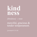 Vinyl Wall Art Decal - Kindness: Merciful; Gracious & Tender Temperament - Jeremiah 9:23 - 25" x 22"   - Inspirational Religious Bible Verse Quote Sticker For Bedroom Living Room Kids Room Decor 1