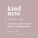 Vinyl Wall Art Decal - Kindness: Merciful; Gracious & Tender Temperament - Jeremiah 9:23 - 25" x 22"   - Inspirational Religious Bible Verse Quote Sticker For Bedroom Living Room Kids Room Decor 4