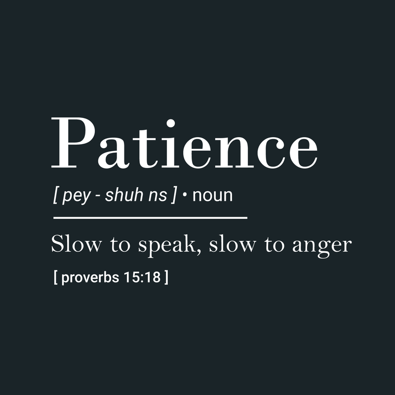 Vinyl Wall Art Decal - Patience Slow To Speak; Slow To Anger - Proverbs 15:18" - 14" x 25"   - Inspirational Religious Bible Verse Quote Sticker For Bedroom Living Room Kids Room Office Church  Decor 1