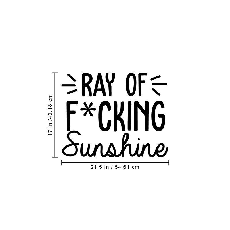 Vinyl Wall Art Decal - Ray Of Fcking Sunshine - - Trendy Sarcastic Funny Adult Joke Quote Sticker For Office Work Business Store Coffee Shop Home Bedroom Living Room Decor 4