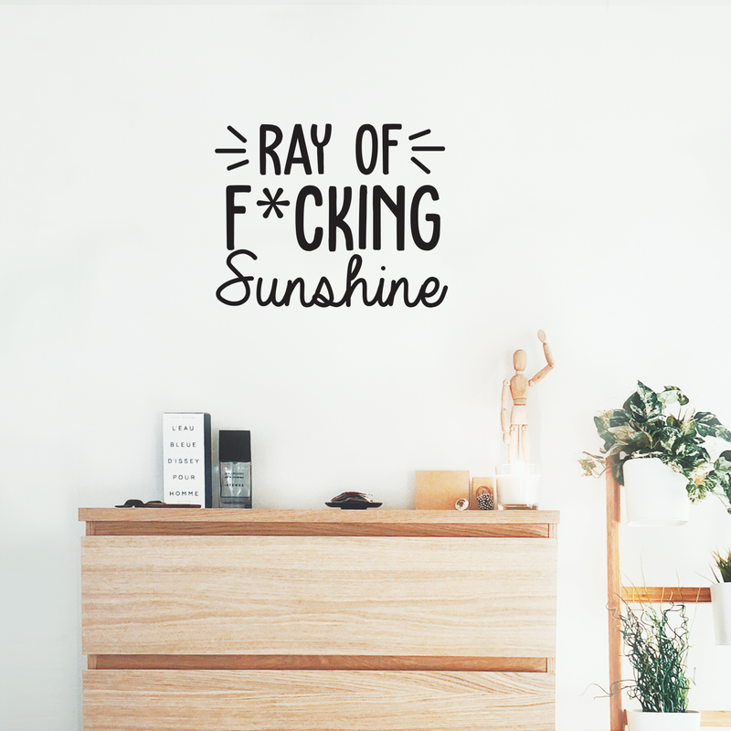 Vinyl Wall Art Decal - Ray Of Fcking Sunshine - 17" x 21.5" -  Trendy Sarcastic Funny Adult Joke Quote Sticker For Office Work Business Store Coffee Shop Home Bedroom Living Room Decor 3