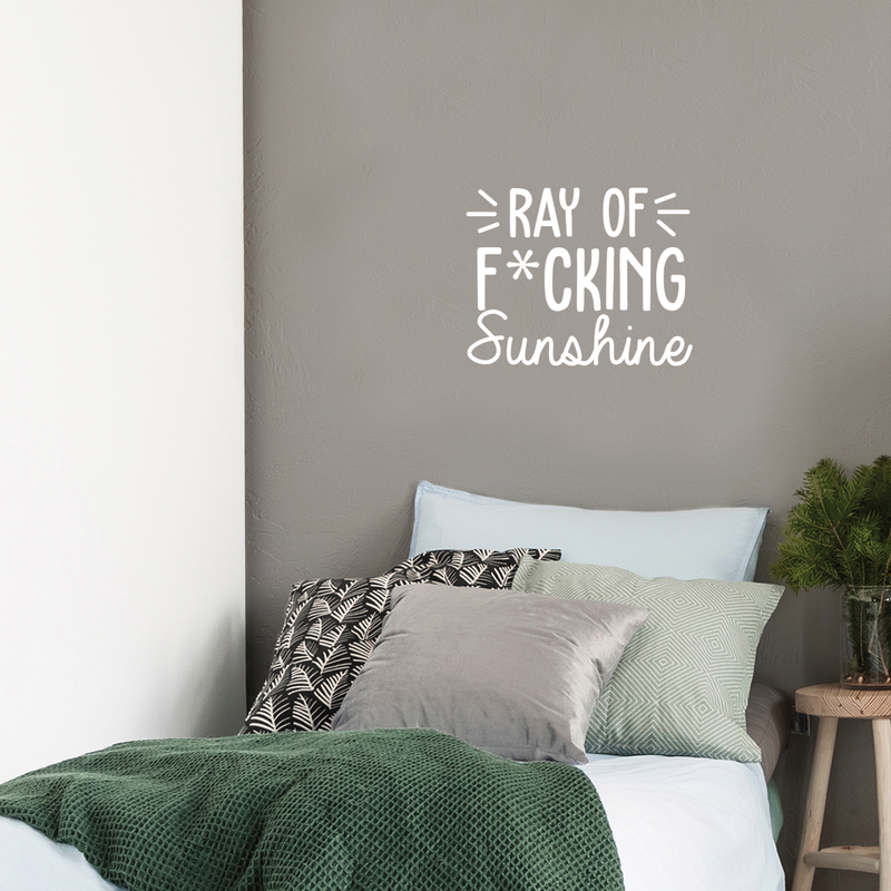 Vinyl Wall Art Decal - Ray Of Fcking Sunshine - 17" x 21.5" -  Trendy Sarcastic Funny Adult Joke Quote Sticker For Office Work Business Store Coffee Shop Home Bedroom Living Room Decor 2