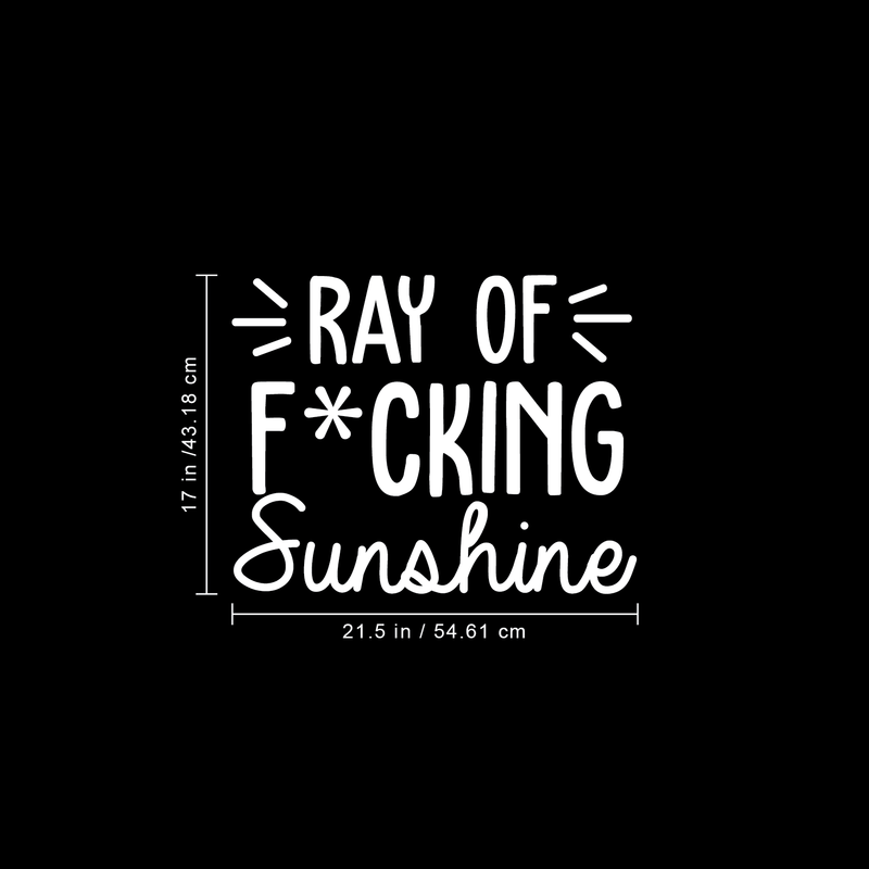 Vinyl Wall Art Decal - Ray Of Fcking Sunshine - 17" x 21.5" -  Trendy Sarcastic Funny Adult Joke Quote Sticker For Office Work Business Store Coffee Shop Home Bedroom Living Room Decor 4